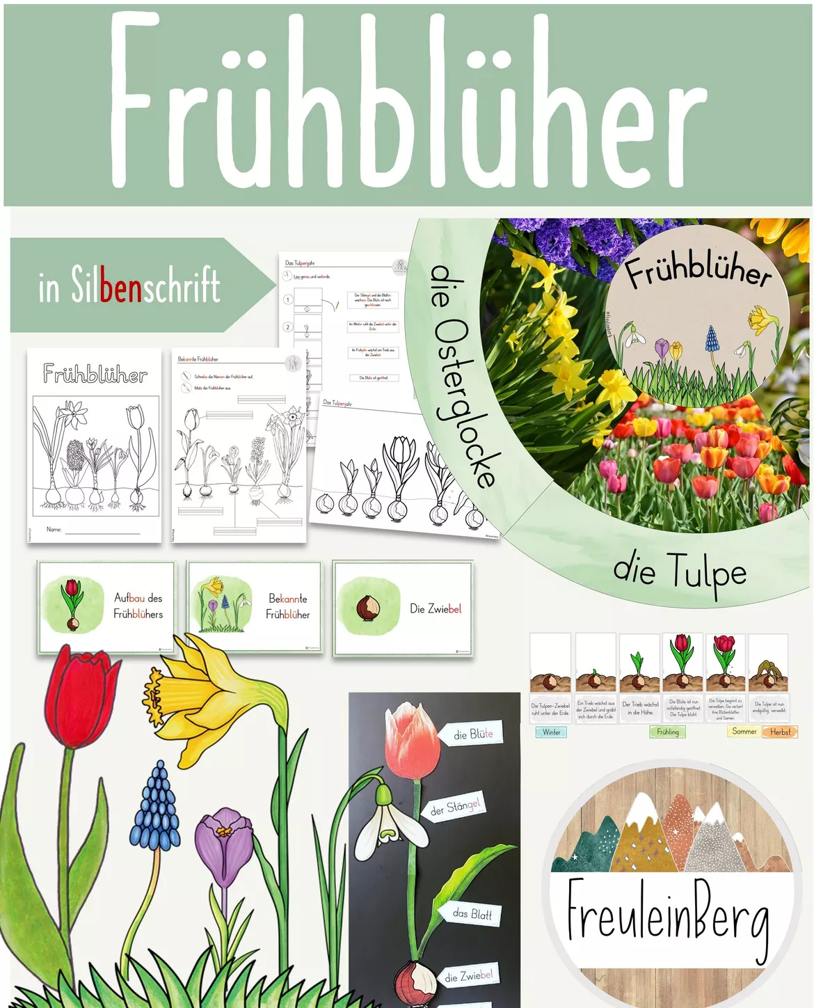 Bild in der Beschreibung des Unterrichtsmaterials Frühblüher - Klasse 1/2 - GESAMTPAKET von FreuleinBerg #1