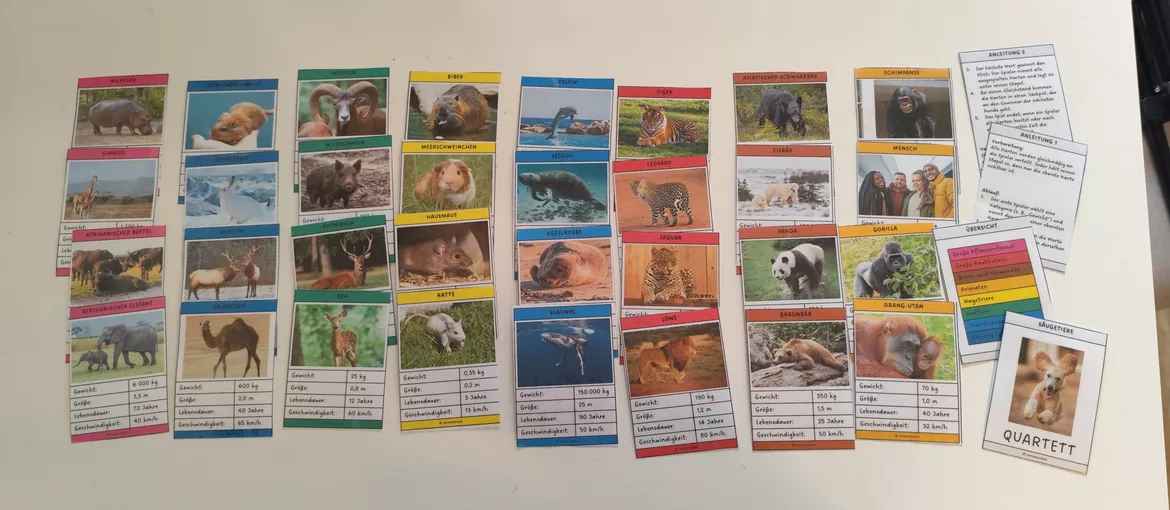 Bild in der Beschreibung des Unterrichtsmaterials Säugetier Quartett (Wirbeltiere, Spiel) von Lernenlernen #1