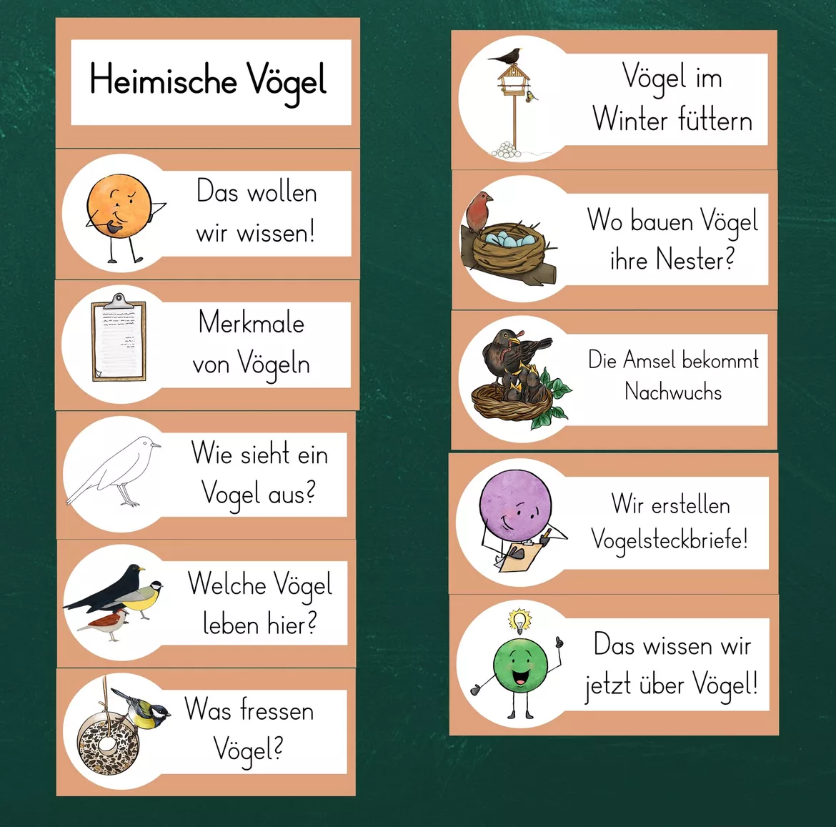 Bild in der Beschreibung des Unterrichtsmaterials Reihentransparenz Vögel von FreuleinBerg #1