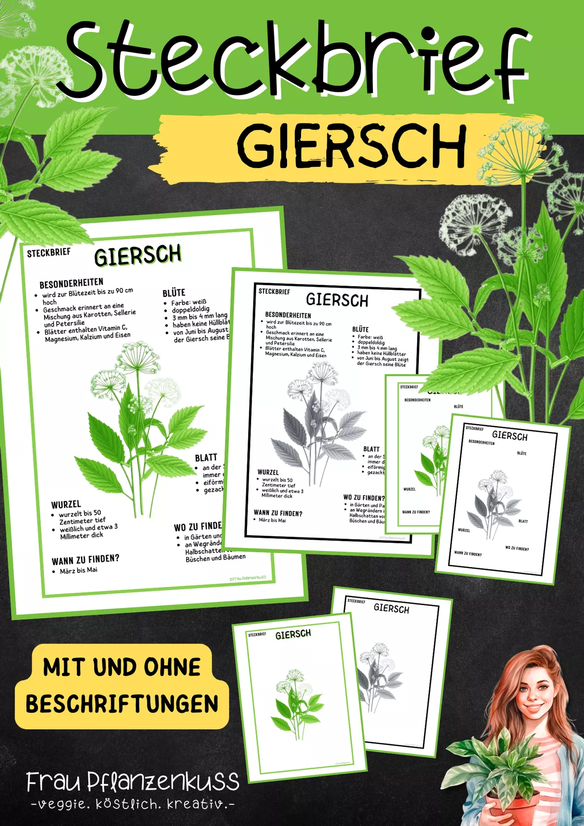 Bild in der Beschreibung des Unterrichtsmaterials Steckbrief mit Beschriftungen Giersch Pflanzenkunde | Grundschule und Sekundarstufe 1 | Klasse 3 bis 7 von Frau Pflanzenkuss #1
