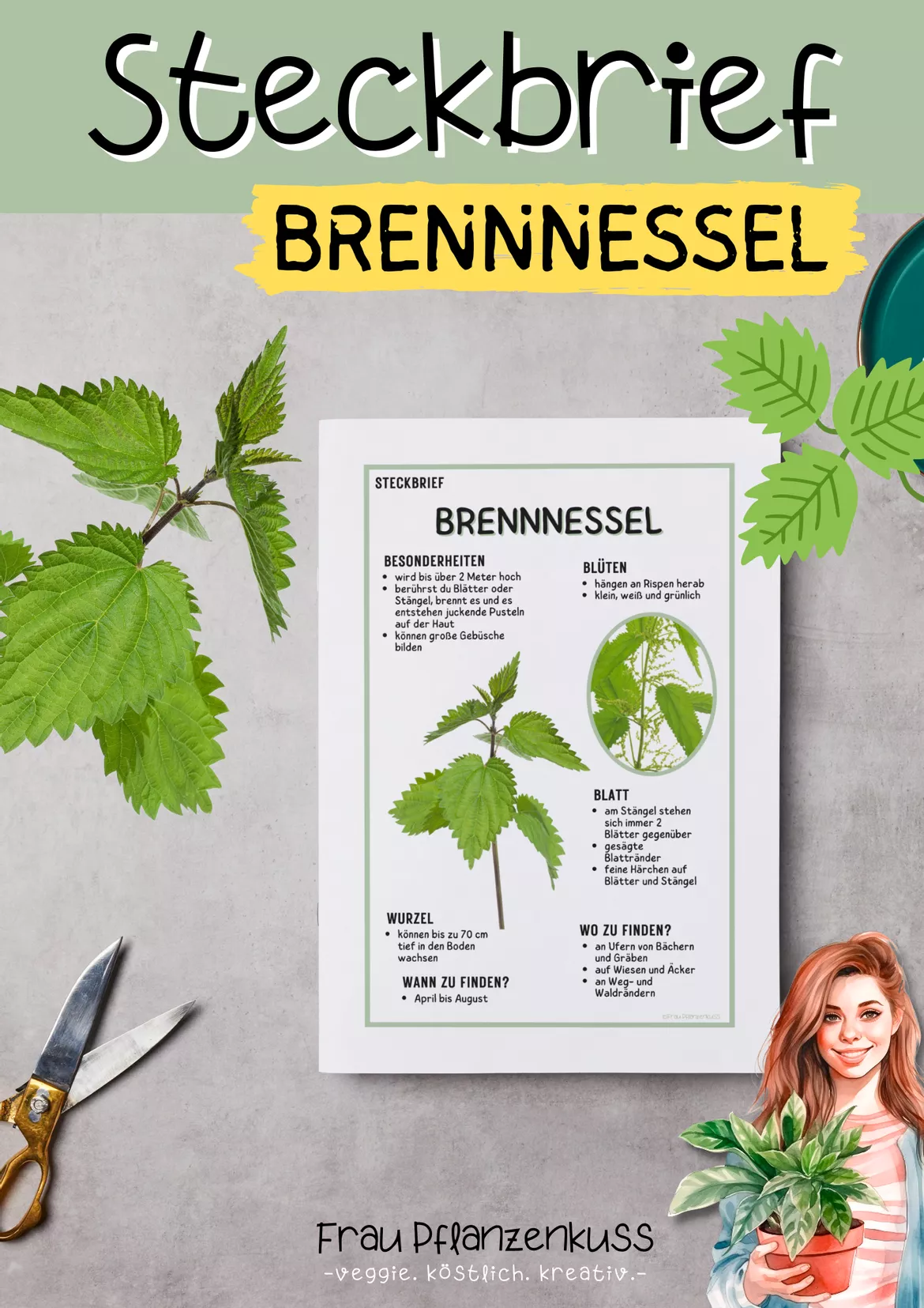 Bild in der Beschreibung des Unterrichtsmaterials Steckbrief Brennnessel | Grundschule & Sekundarstufe 1 | Klasse 3 bis 7 von Frau Pflanzenkuss #1