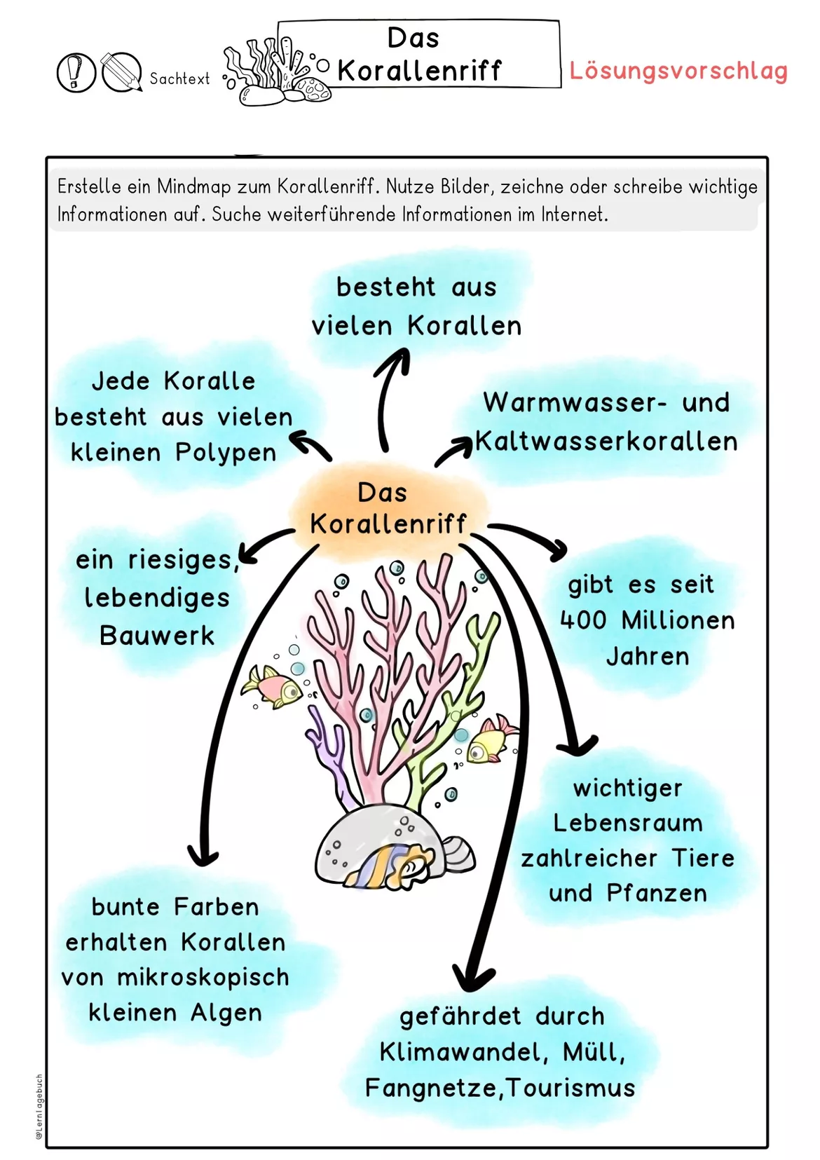 Bild in der Beschreibung des Unterrichtsmaterials Das Korallenriff, Sachtext Klasse 3, Klasse 4, DaZ, DaF, Leseverstehen von LernTagebuch #1