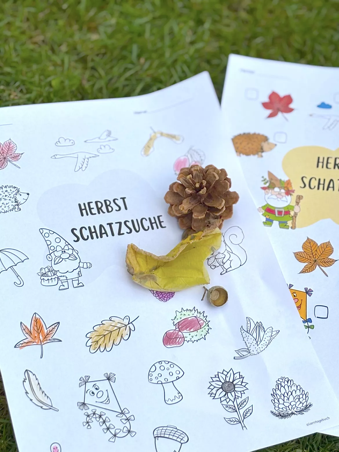 Bild in der Beschreibung des Unterrichtsmaterials Herbst-Schatzsuche im Wald/Draußen für den Kindergarten und Grundschule von LernTagebuch #1