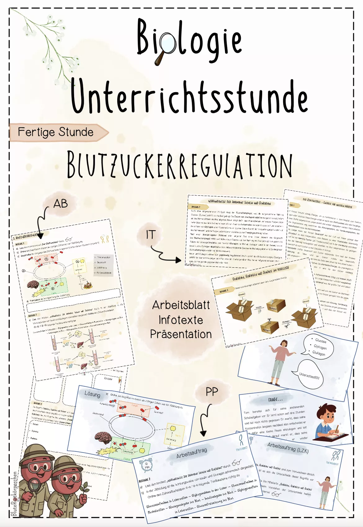 Bild in der Beschreibung des Unterrichtsmaterials Hormone: Hormondrüsen im Überblick | Biologie 8 | fertige Unterrichtsstunde | sofort einsetzbar von BluteRotkörperchen #1