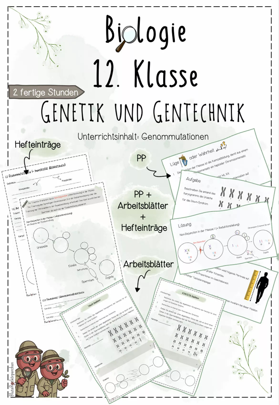 Bild in der Beschreibung des Unterrichtsmaterials Genetik: Mendelsche Regeln | Biologie 12 | 3 fertige Unterrichtsstunden | sofort einsetzbar von BluteRotkörperchen #4