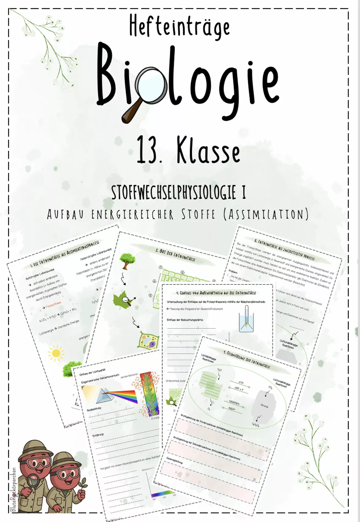 Bild in der Beschreibung des Unterrichtsmaterials Stoffwechselphysiologie II + III: Zellatmung, Gärung, Enzyme | Biologie 13 | Hefteinträge von BluteRotkörperchen #1