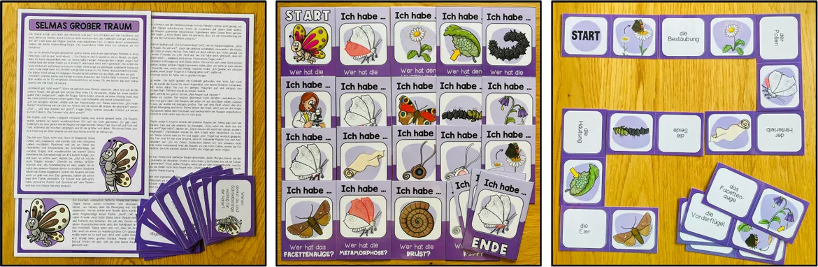 Bild in der Beschreibung des Unterrichtsmaterials Schmetterling 3., 4., 5. Klasse, Entwicklung, Lebenszyklus, Sachunterricht, Biologie | Materialpaket von Unterrichtmitspass #5
