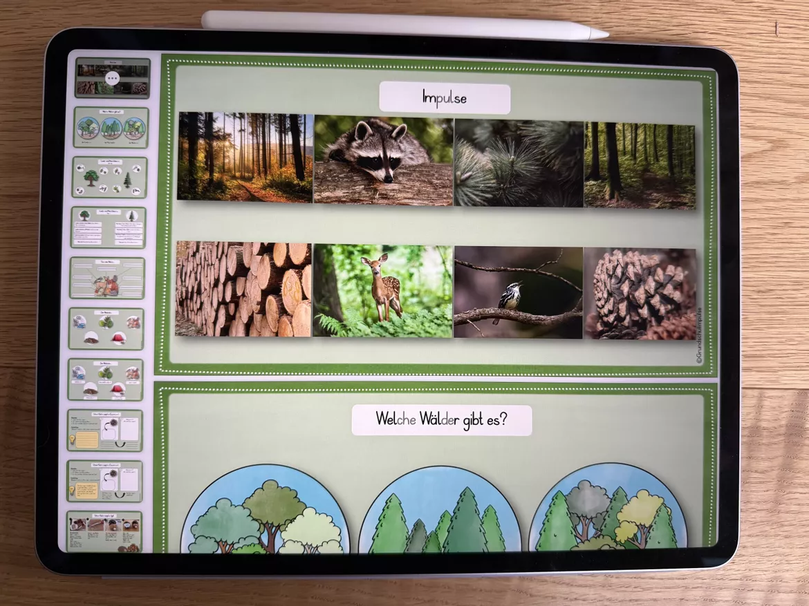 Bild in der Beschreibung des Unterrichtsmaterials Unterrichtsreihe - Der Wald (Klasse 1+2) von Grundschulimpulse #12