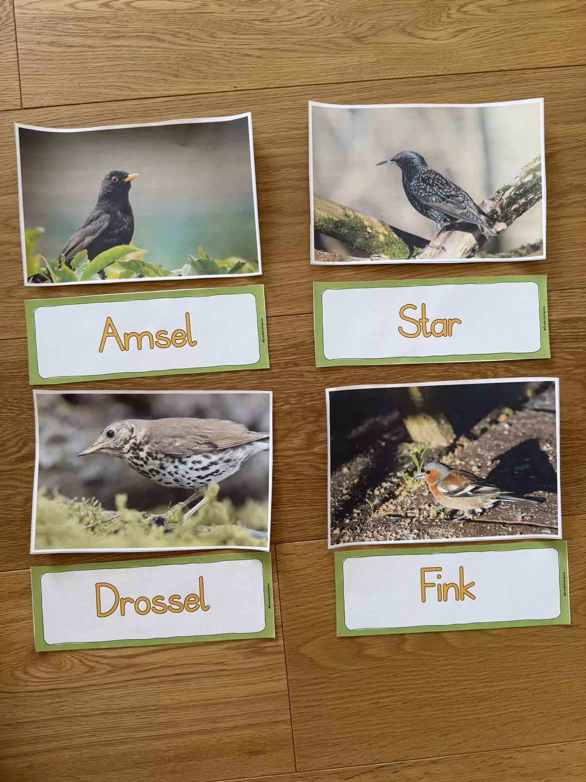 Bild in der Beschreibung des Unterrichtsmaterials Musikreihe: "Alle Vögel sind schon da!" (Klasse 1-4) von Grundschulimpulse #4