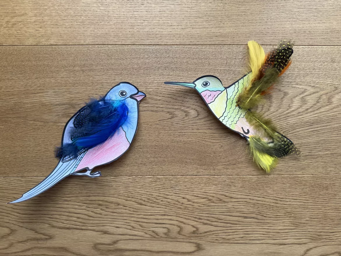 Bild in der Beschreibung des Unterrichtsmaterials Musikreihe: "Alle Vögel sind schon da!" (Klasse 1-4) von Grundschulimpulse #8