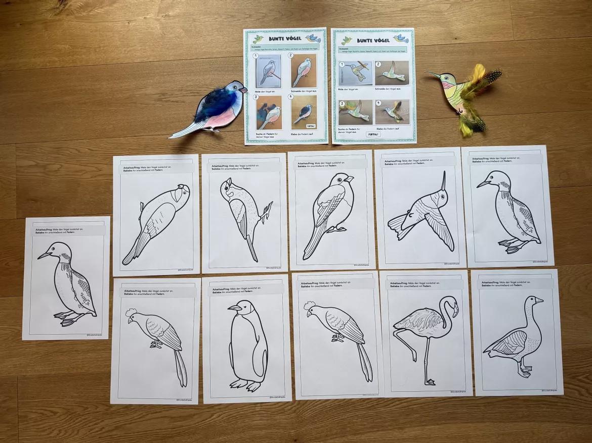 Bild in der Beschreibung des Unterrichtsmaterials Musikreihe: "Alle Vögel sind schon da!" (Klasse 1-4) von Grundschulimpulse #9