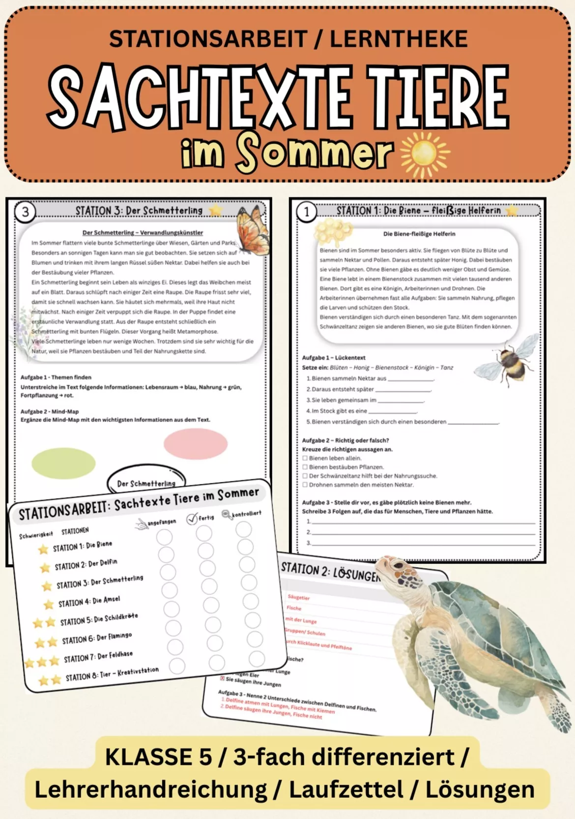 Bild in der Beschreibung des Unterrichtsmaterials Sachtexte Sommer – Leseverständnis trainieren Deutsch Klasse 5–6 differenziert von Farbenflug #1
