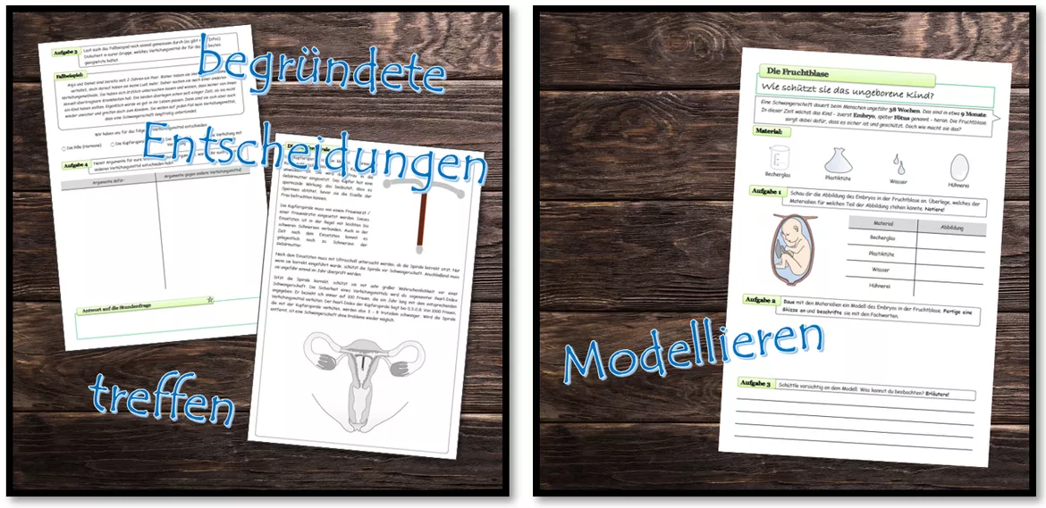 Bild in der Beschreibung des Unterrichtsmaterials Sexualkunde | komplette Unterrichtseinheit mit Lösungen | Klasse 5/6 von Dr.Teach #4