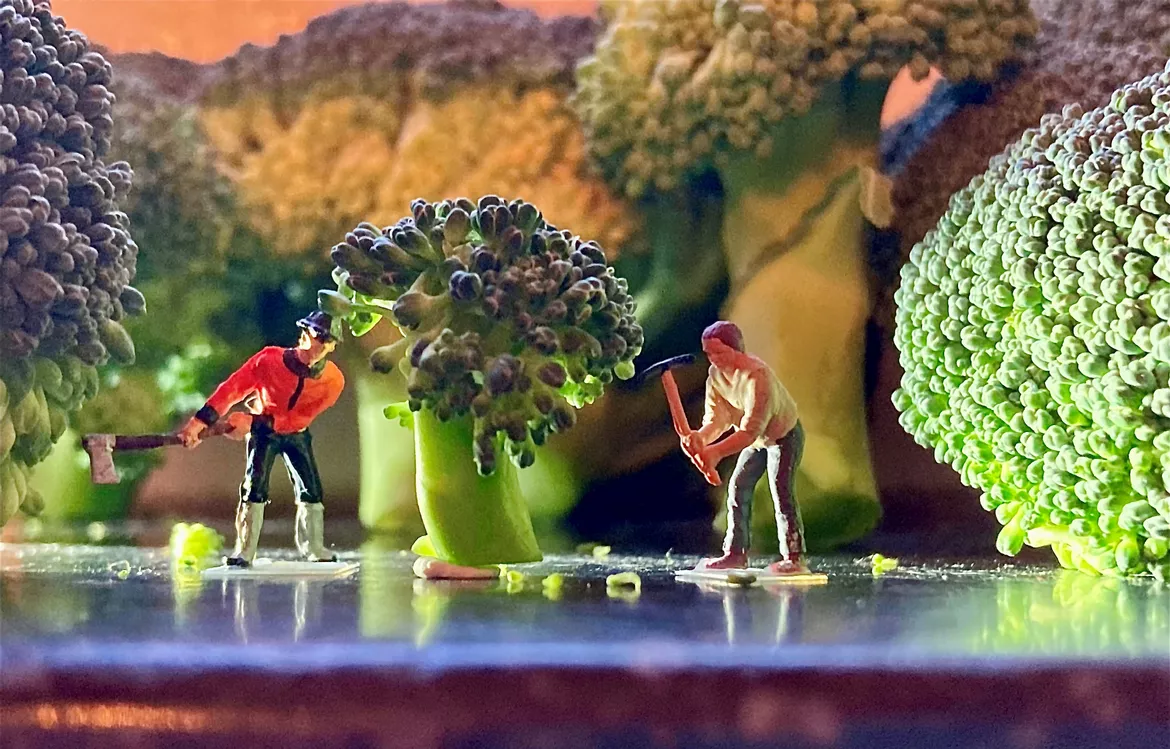 Bild in der Beschreibung des Unterrichtsmaterials Erzählen mit Miniaturfotos - Fotografieren im Kunstunterricht von Sterntaler #2