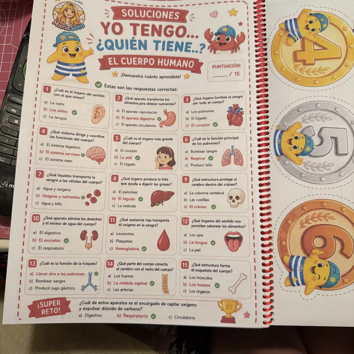 Bild in der Beschreibung des Unterrichtsmaterials Yo tengo… ¿Quién tiene? El cuerpo humano. 4.º de Primaria. 36 tarjetas von Aprende con MariaSoto #3