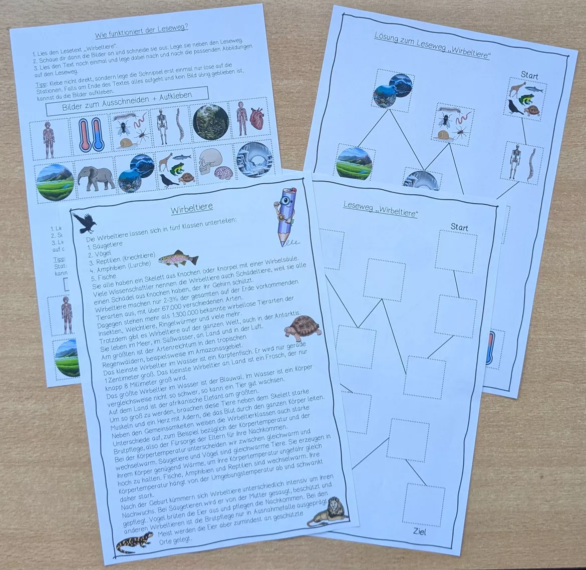 Bild in der Beschreibung des Unterrichtsmaterials Leseverständnis, Materialpaket Lesewege – Sachtexte & Leseübungen Grundschule von Coolinschool._ - Leseförderung und mehr #3