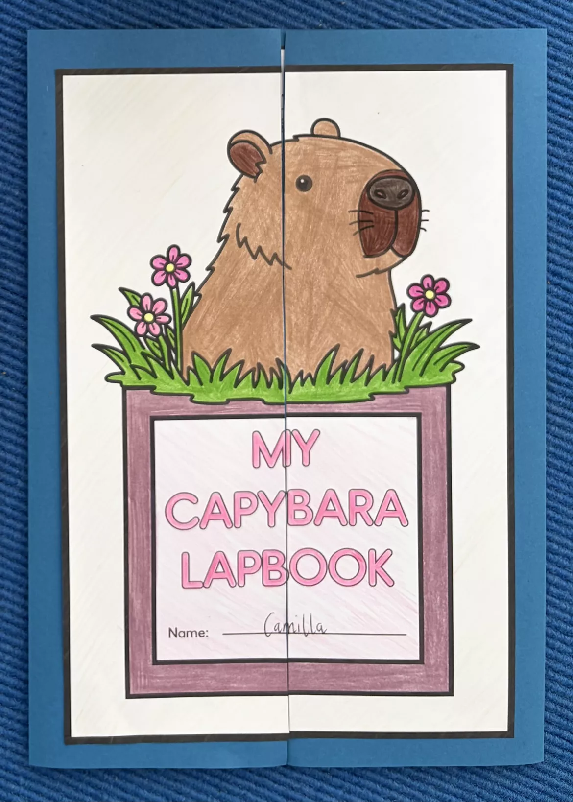 Bild in der Beschreibung des Unterrichtsmaterials Capybara Lapbook & Info Cards von Camilla