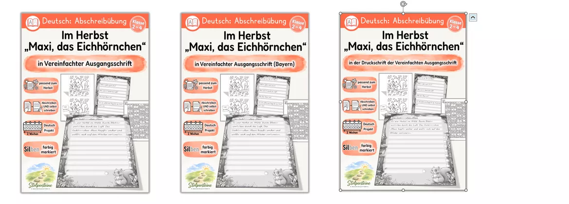 Bild in der Beschreibung des Unterrichtsmaterials Herbst Abschreibübung "Eichhörnchen sammelt Wintervorräte" in Vereinfachter Ausgangsschrift von Stolpersteine #1