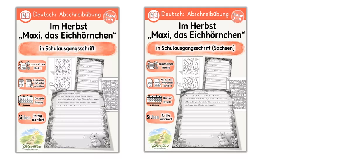 Bild in der Beschreibung des Unterrichtsmaterials Herbst Abschreibübung "Eichhörnchen sammelt Wintervorräte" in Schulausgangsschrift von Stolpersteine #1