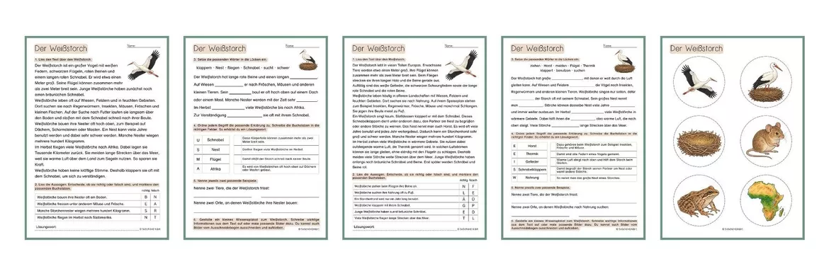Bild in der Beschreibung des Unterrichtsmaterials Lesetext mit Arbeitsblatt - Der Weißstorch (Klasse 2-4) von SoSchönErklärt #1