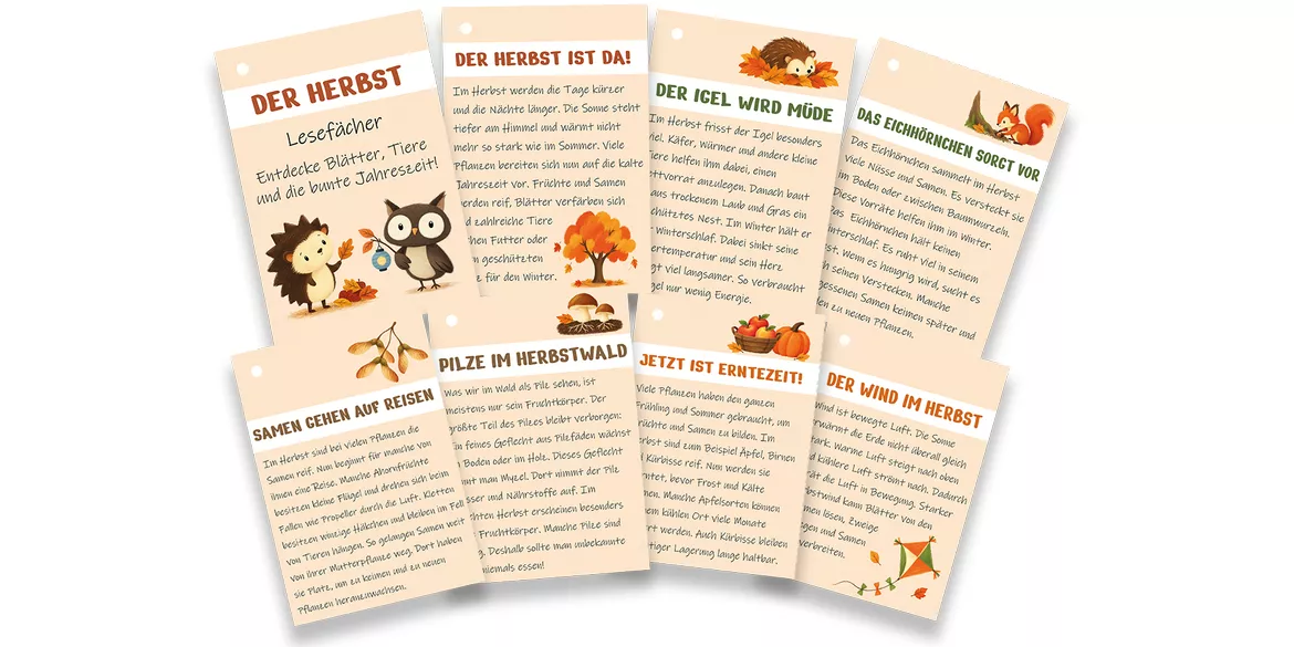 Bild in der Beschreibung des Unterrichtsmaterials Lesefächer Herbst - 15 Lesetexte | Lesekartei, Wissenskartei, Leseförderung | Lesen Deutsch Klasse 2, 3 & 4 von TeachingRocket #1