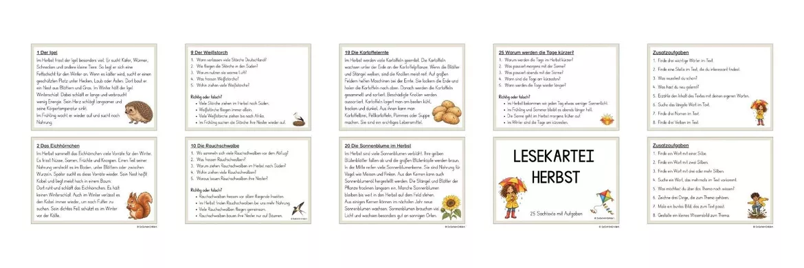 Bild in der Beschreibung des Unterrichtsmaterials Lesekartei Herbst (Klasse 1-2) von SoSchönErklärt #1