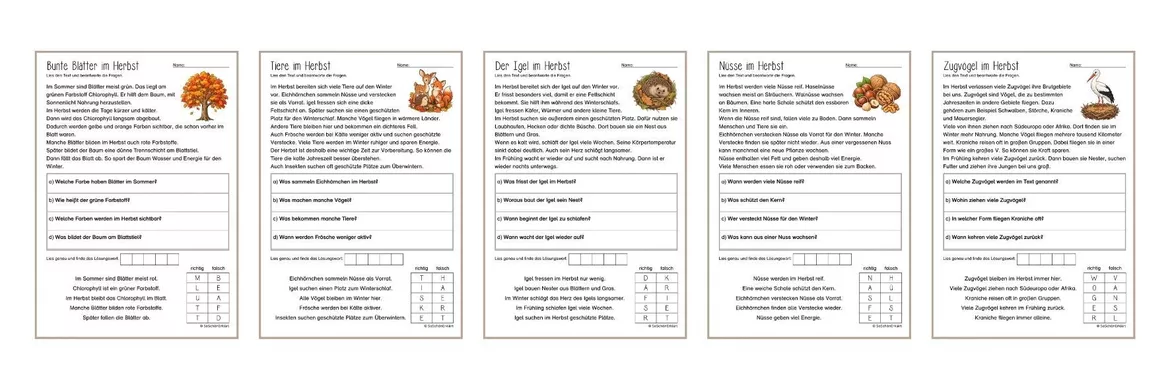 Bild in der Beschreibung des Unterrichtsmaterials Lesen & Verstehen - Im Herbst (Klasse 1-2) von SoSchönErklärt #1