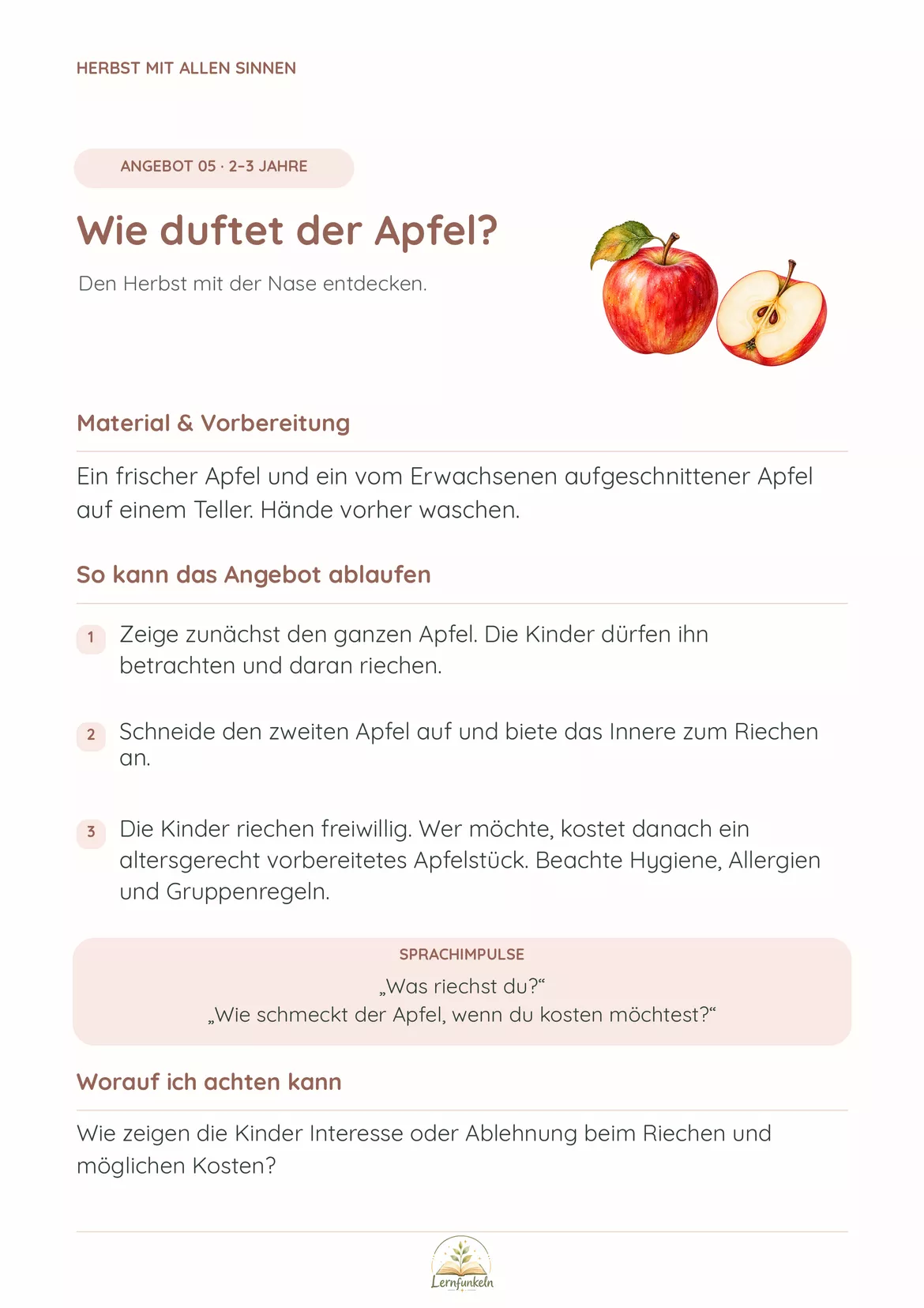 Bild in der Beschreibung des Unterrichtsmaterials 🍂Herbst mit allen Sinnen – 18 Bildungsangebote für 2–6 Jahre im Kindergarten von Lernfunkeln Materialien #2