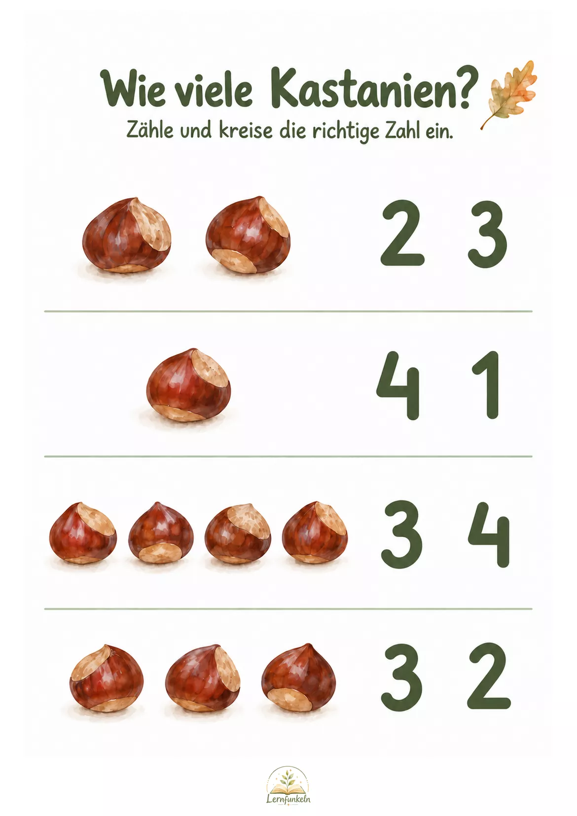 Bild in der Beschreibung des Unterrichtsmaterials 🍂Herbstwerkstatt – 17 differenzierte Arbeitsblätter für Kinder von 2–6 Jahren von Lernfunkeln Materialien #3