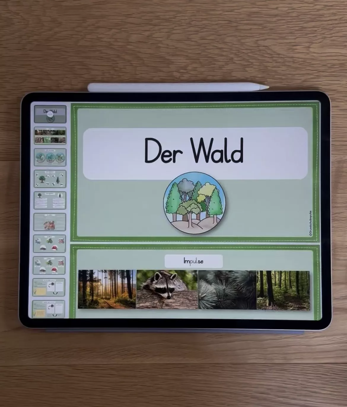 Bild in der Beschreibung des Unterrichtsmaterials Der Wald - PDF für die digitale Tafel (Klasse 1+2) von Grundschulimpulse #1
