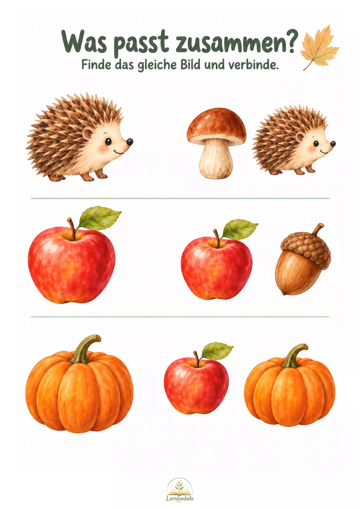 Bild in der Beschreibung des Unterrichtsmaterials 🍂Herbstwerkstatt – 17 differenzierte Arbeitsblätter für Kinder von 2–6 Jahren von Lernfunkeln Materialien #2