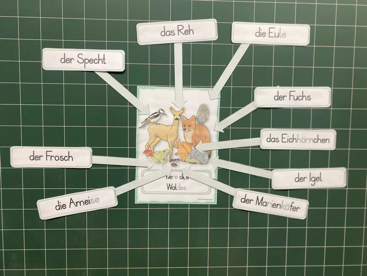 Bild in der Beschreibung des Unterrichtsmaterials Unterrichtsreihe - Der Wald (Klasse 1+2) von Grundschulimpulse #14