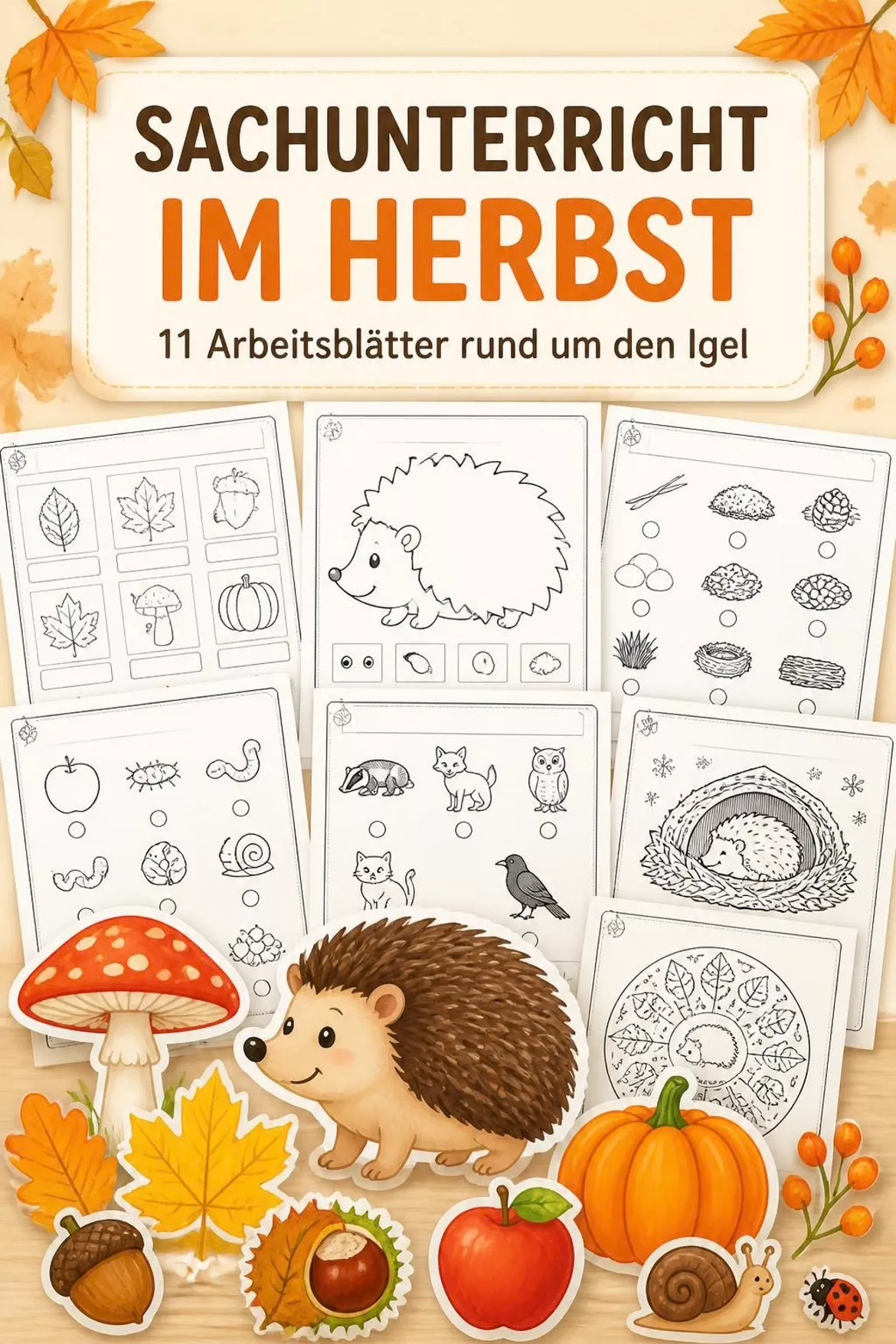 Bild in der Beschreibung des Unterrichtsmaterials Der Igel im Herbst von BLÜHMCHEN #1
