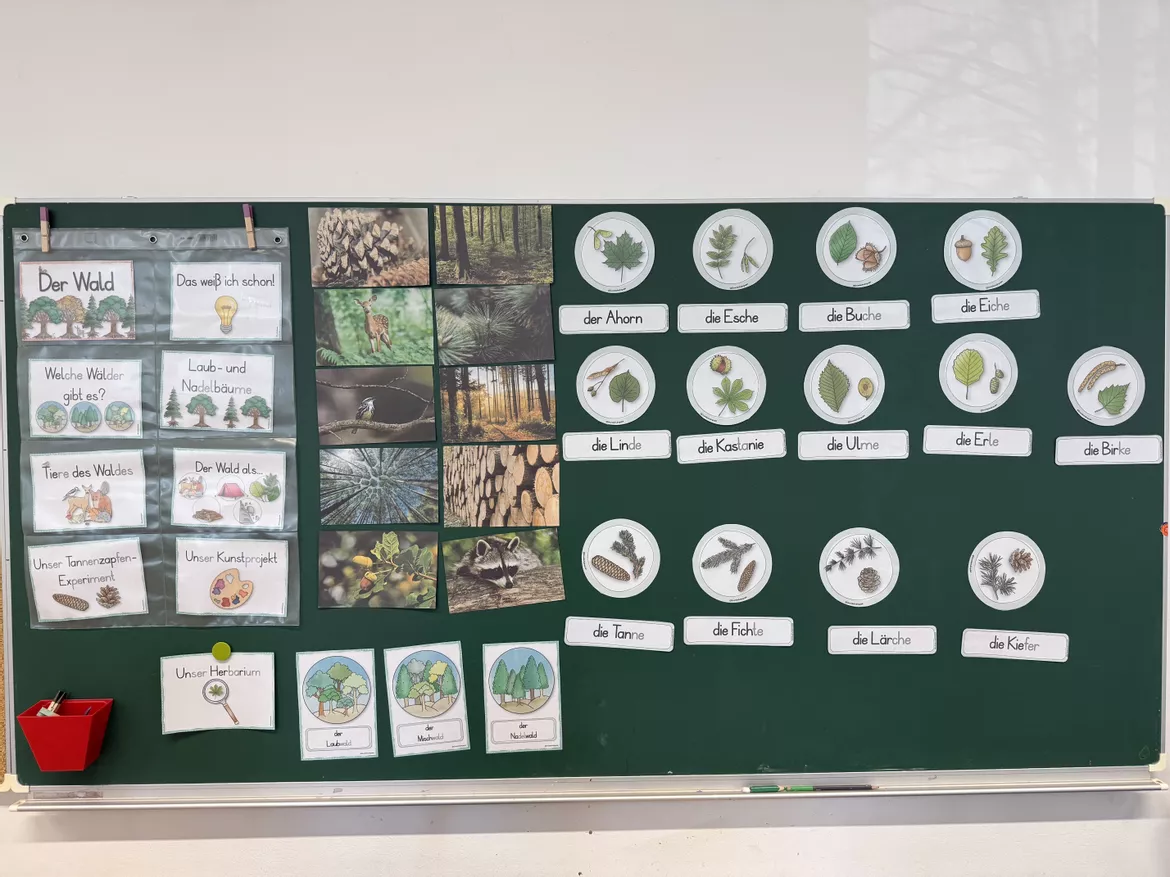 Bild in der Beschreibung des Unterrichtsmaterials Unterrichtsreihe - Der Wald (Klasse 1+2) von Grundschulimpulse #13