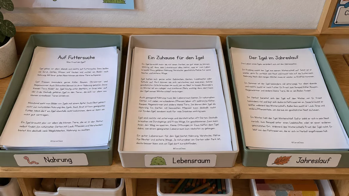 Bild in der Beschreibung des Unterrichtsmaterials Materialpaket: Der Igel – Unterrichtsreihe, UB-Stunde und Material von CarosClass #1