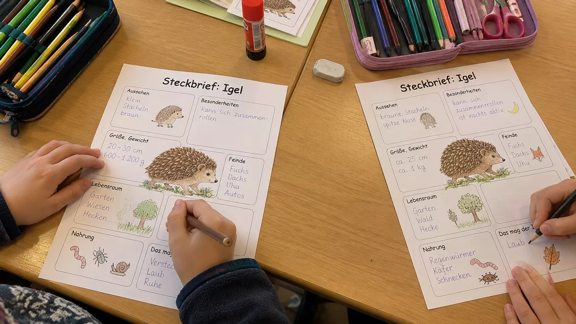 Bild in der Beschreibung des Unterrichtsmaterials Materialpaket: Der Igel – Unterrichtsreihe, UB-Stunde und Material von CarosClass #2