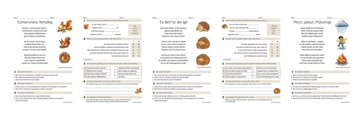 Bild in der Beschreibung des Unterrichtsmaterials Gedichte | Leseverstehen - 5 Herbstgedichte (Klasse 2-4) von SoSchönErklärt #1