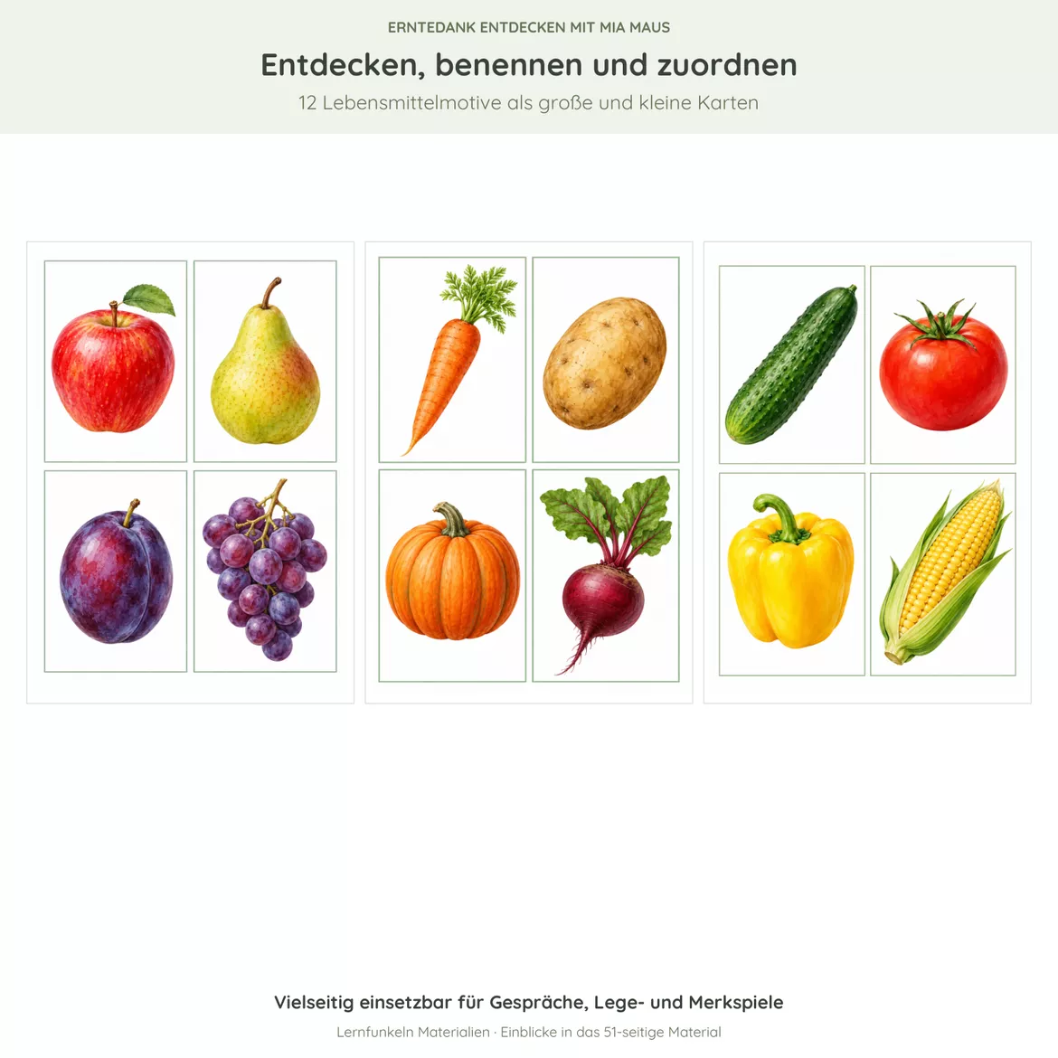Bild in der Beschreibung des Unterrichtsmaterials 🍎Erntedank mit Mia Maus – Angebote, Bildkarten & Bewegung für 2–6 Jahre von Lernfunkeln Materialien #2