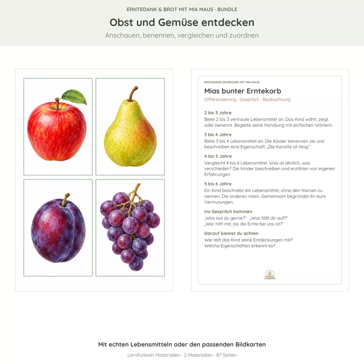 Bild in der Beschreibung des Unterrichtsmaterials 🍎🌾Erntedank & Vom Korn zum Brot mit Mia Maus – Bundle für 2–6 Jahre von Lernfunkeln Materialien #2