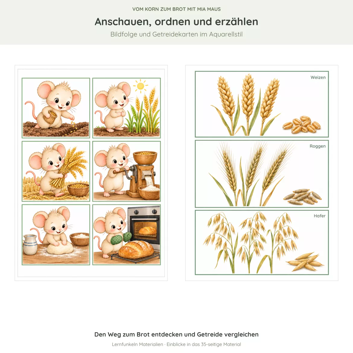 Bild in der Beschreibung des Unterrichtsmaterials 🌾Vom Korn zum Brot mit Mia Maus – Bildkarten, Backen & Spielideen für 2–6 Jahre von Lernfunkeln Materialien #3