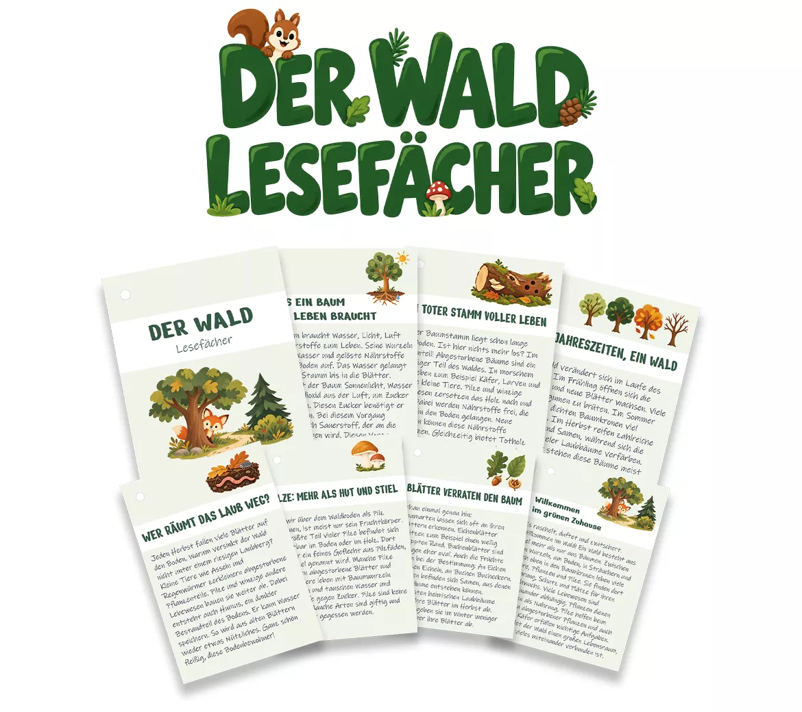Bild in der Beschreibung des Unterrichtsmaterials Der Wald Lesefächer – Sachtexte | Sachunterricht & Deutsch Wissenskartei Klasse 2-4 | Bäume, Stockwerke des Waldes, Waldtiere von TeachingRocket #1