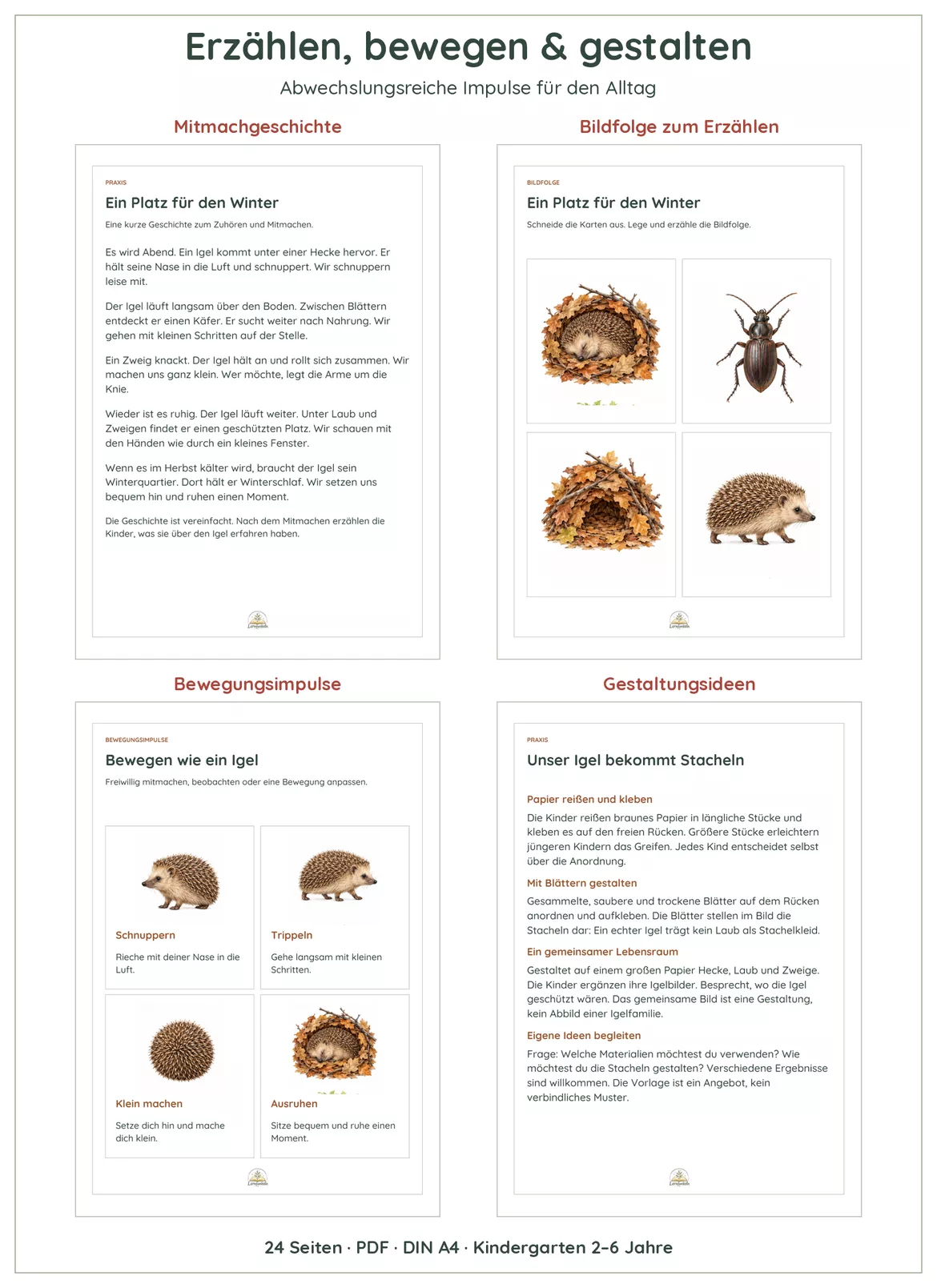 Bild in der Beschreibung des Unterrichtsmaterials 🦔Igel entdecken im Kindergarten | Bildkarten, Naturwissen, Mengen & Basteln | 2–6 Jahre von Lernfunkeln Materialien #3