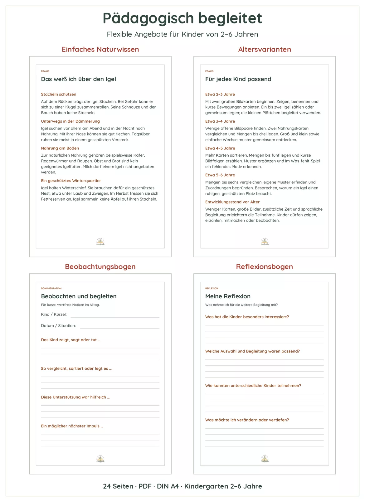 Bild in der Beschreibung des Unterrichtsmaterials 🦔Igel entdecken im Kindergarten | Bildkarten, Naturwissen, Mengen & Basteln | 2–6 Jahre von Lernfunkeln Materialien #4