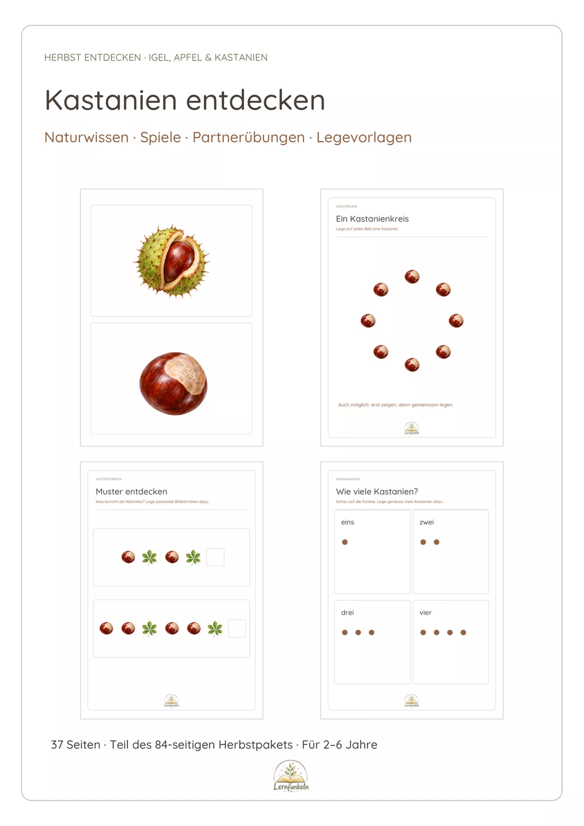 Bild in der Beschreibung des Unterrichtsmaterials 🍂🍎Herbst entdecken: Igel, Apfel & Kastanien – Kindergarten-Paket für 2–6 Jahre von Lernfunkeln Materialien #4