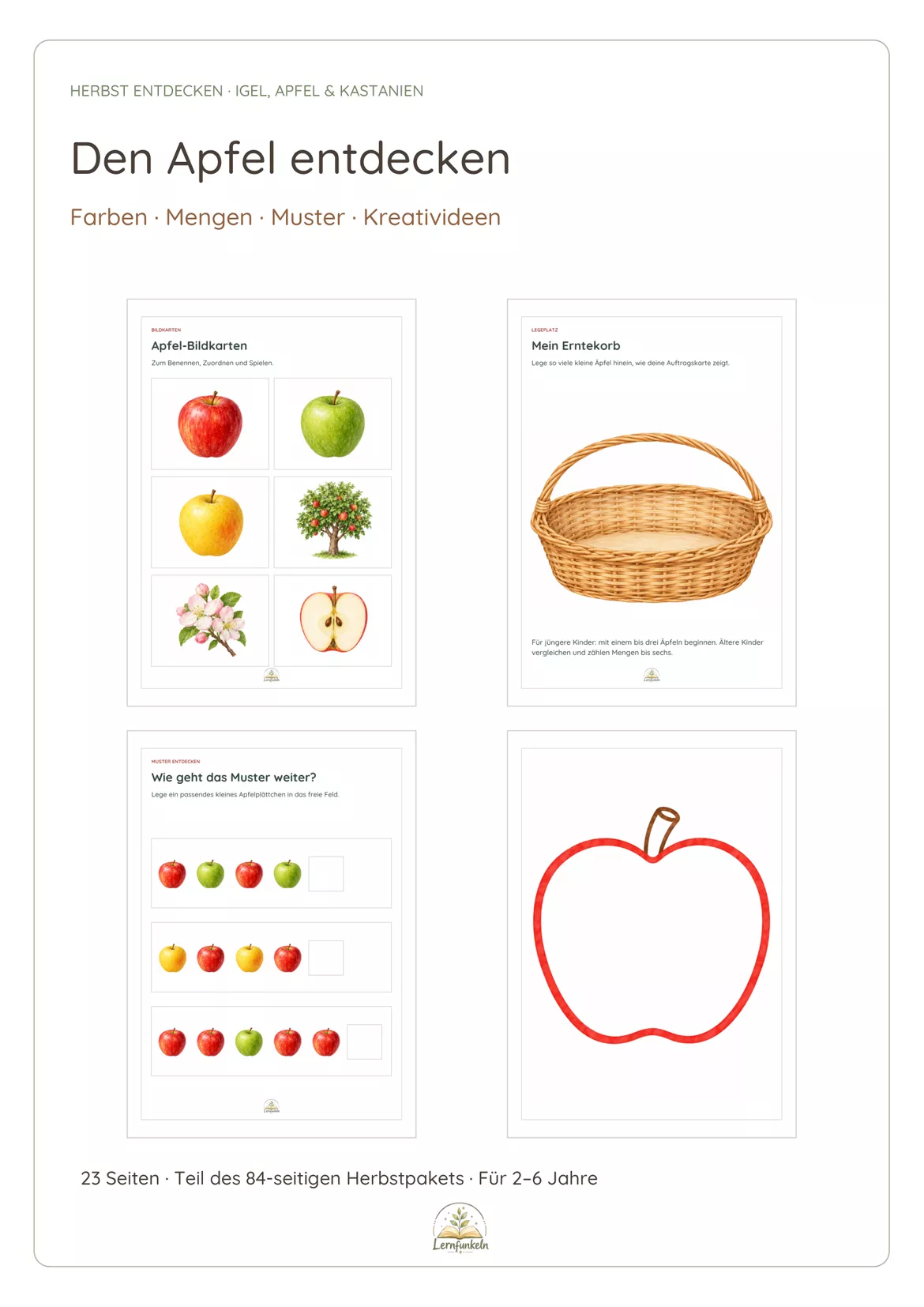 Bild in der Beschreibung des Unterrichtsmaterials 🍂🍎Herbst entdecken: Igel, Apfel & Kastanien – Kindergarten-Paket für 2–6 Jahre von Lernfunkeln Materialien #3