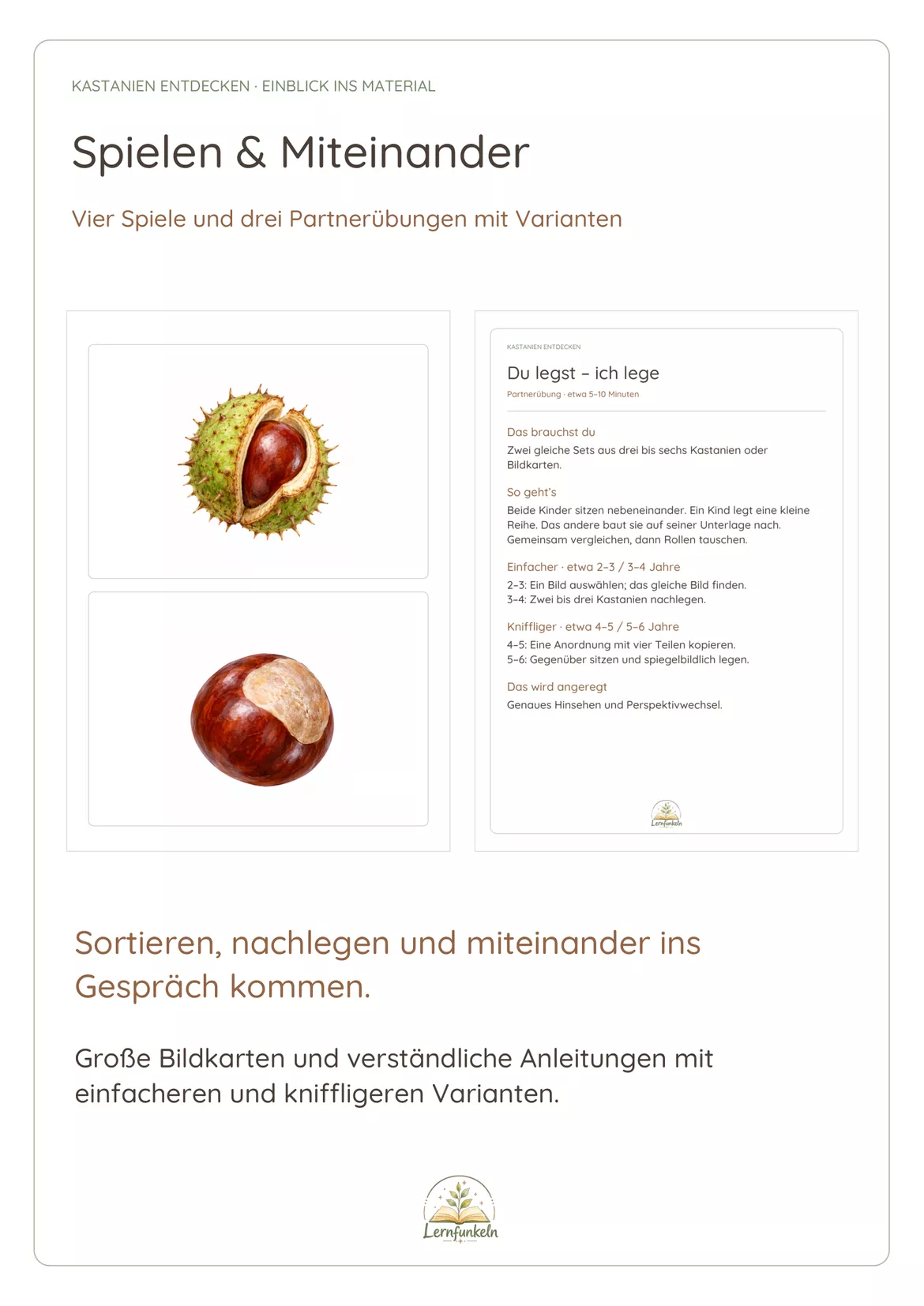 Bild in der Beschreibung des Unterrichtsmaterials 🌳Kastanien entdecken – Herbst im Kindergarten | Spiele, Legevorlagen & Differenzierung für 2–6 Jahre von Lernfunkeln Materialien #3