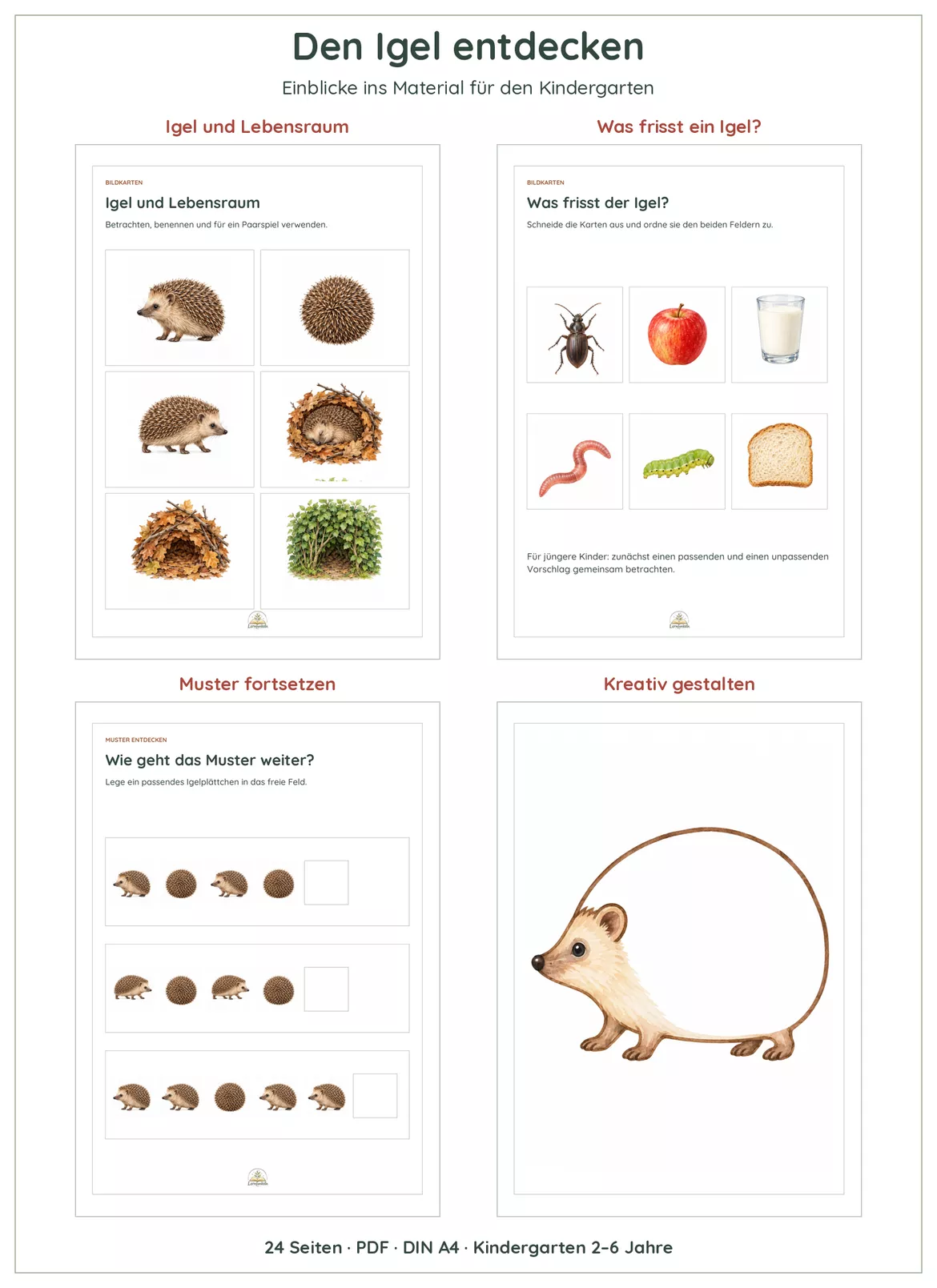 Bild in der Beschreibung des Unterrichtsmaterials 🦔Igel entdecken im Kindergarten | Bildkarten, Naturwissen, Mengen & Basteln | 2–6 Jahre von Lernfunkeln Materialien #1