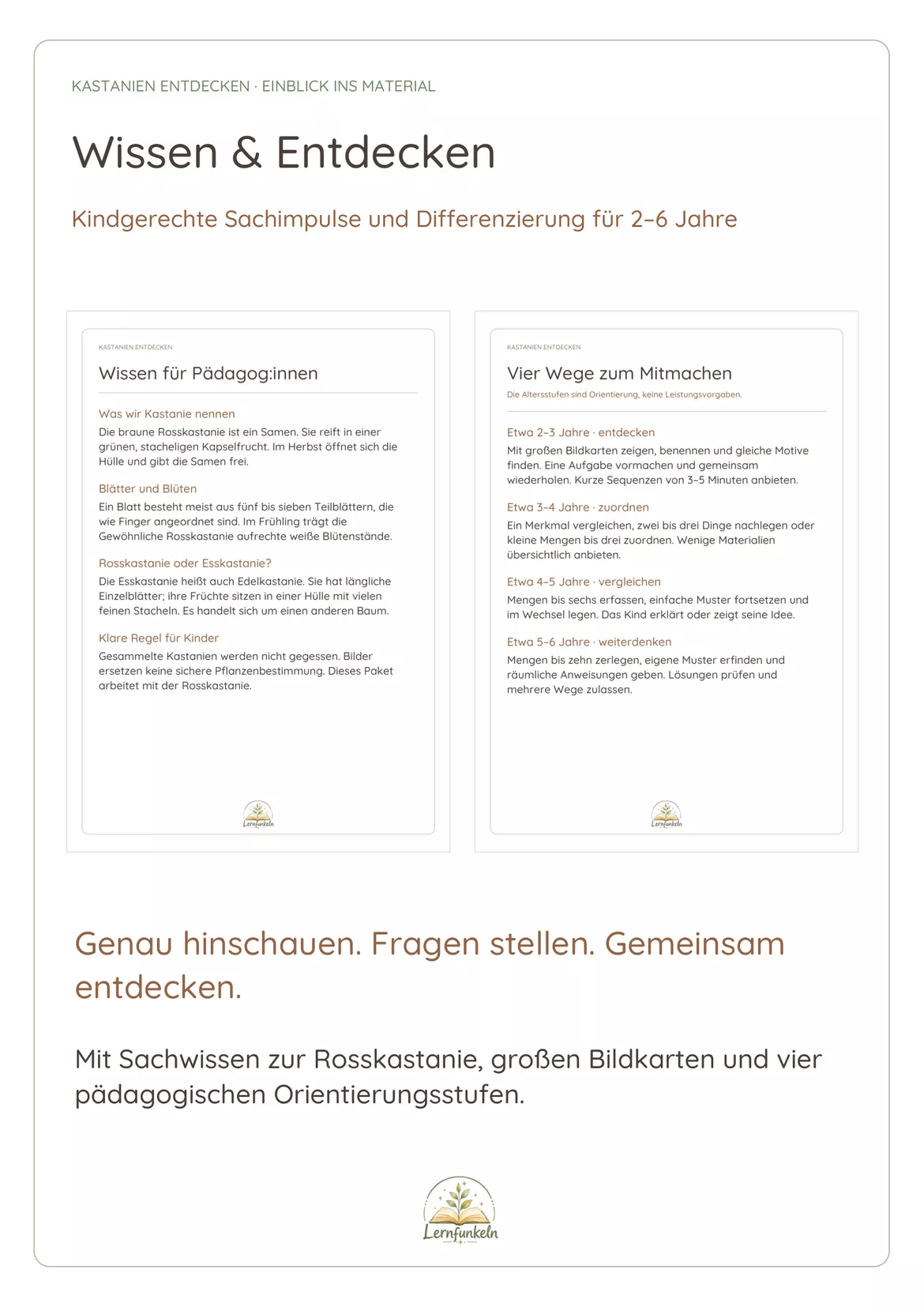 Bild in der Beschreibung des Unterrichtsmaterials 🌳Kastanien entdecken – Herbst im Kindergarten | Spiele, Legevorlagen & Differenzierung für 2–6 Jahre von Lernfunkeln Materialien #2