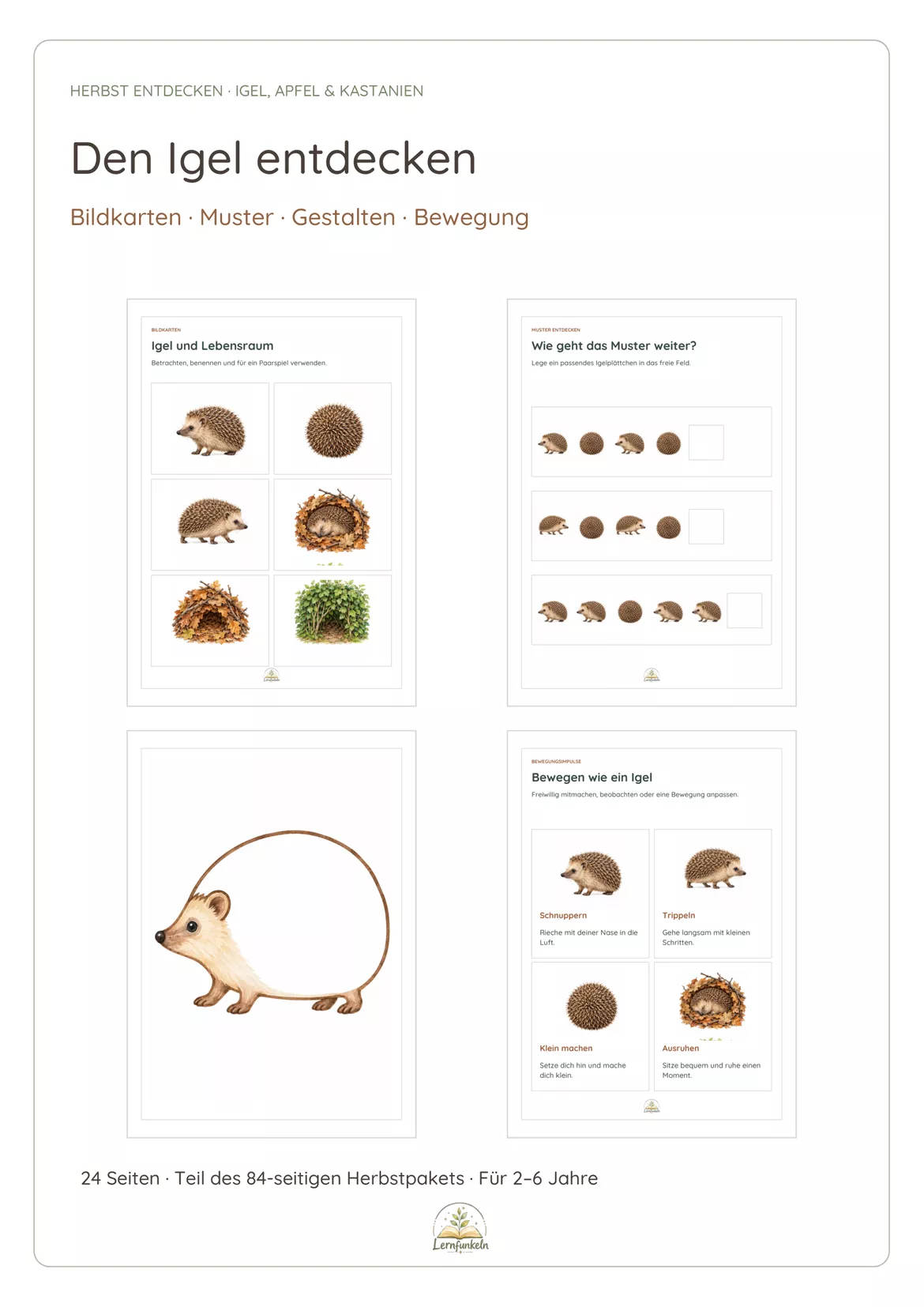 Bild in der Beschreibung des Unterrichtsmaterials 🍂🍎Herbst entdecken: Igel, Apfel & Kastanien – Kindergarten-Paket für 2–6 Jahre von Lernfunkeln Materialien #2