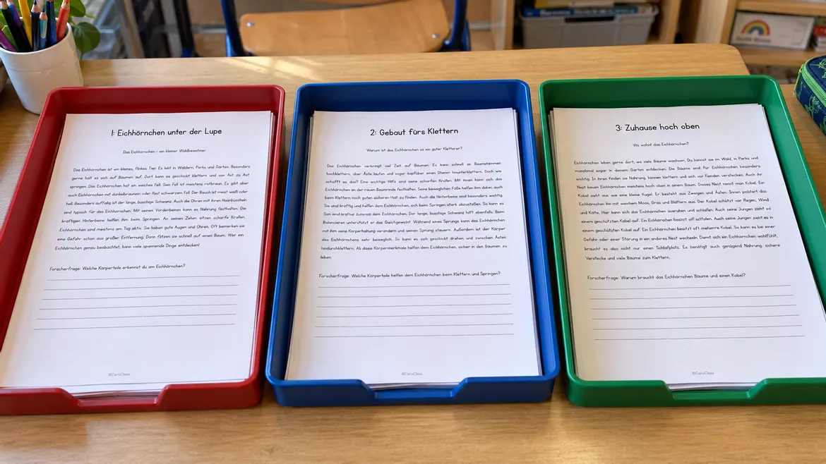 Bild in der Beschreibung des Unterrichtsmaterials Materialpaket: Das Eichhörnchen - Unterrichtsreihe, UB-Stunde und Material von CarosClass #2